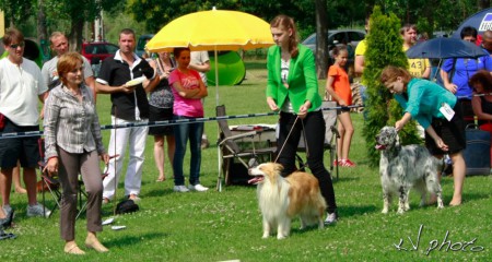 Ivorycoast Van't Vassenhout junior handler II. age group